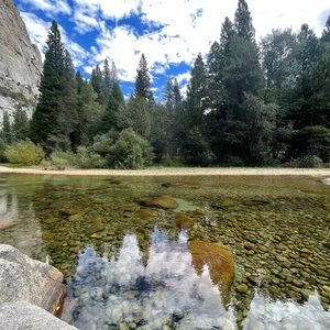 Meet your Posher, R-dheleene